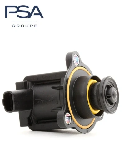 بلف تربو - جراندلاند - اصلي